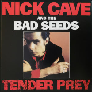NICK CAVE AND THE BAD SEEDS - TENDER PREY - Görsel 1