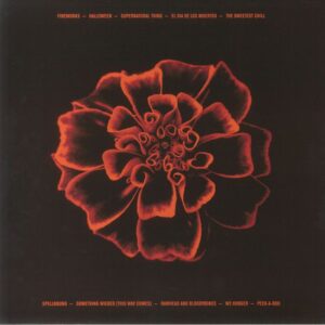 SIOUXSIE AND THE BANSHEES - ALL SOULS - Görsel 2