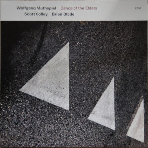 WOLFGANG MUTHSPIEL - SCOTT COLLEY - BRIAN BLADE - DANCE OF THE ELDERS