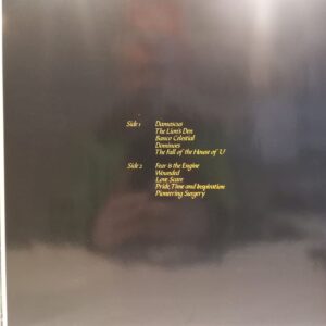 RICHARD STRANGE & THE ENGINE ROOM - GOING GONE - Görsel 2