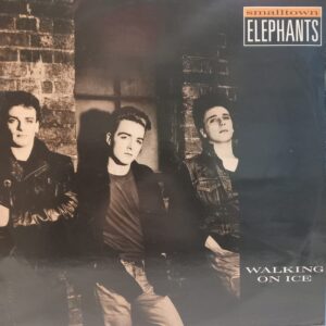 SMALLTOWN ELEPHANTS - WALKING ON ICE