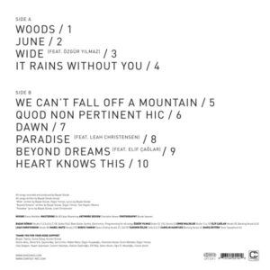 AH! KOSMOS - BEAUTIFUL SWAMP - Görsel 2