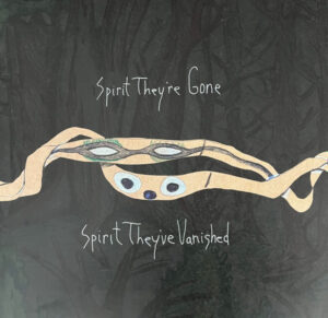 ANIMAL COLLECTIVE - SPIRIT THEY’RE GONE SPIRIT THEY’VE VANISHED