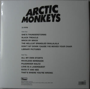 ARCTIC MONKEYS - SUCK IT AND SEE - Görsel 2