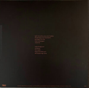 BETH GIBBONS - LIVES OUTGROWN - Görsel 2