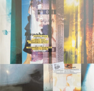 BONOBO - ANIMAL MAGIC - Görsel 2