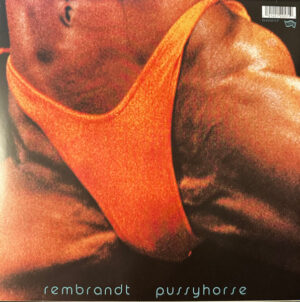 BUTTHOLE SURFERS - REMBRANDT PUSSYHORSE - Görsel 2