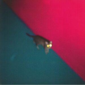 !!! (CHK CHK CHK) - WALLOP - Görsel 1