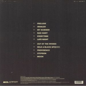 FOALS - HOLY FIRE - Görsel 2