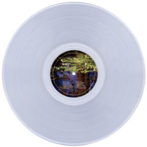 METRONOMY - SMALL WORLD (RENKLİ PLAK) - Görsel 4