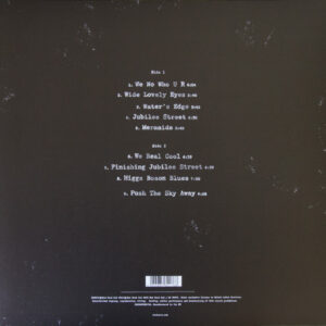 NICK CAVE AND THE BAD SEEDS - PUSH THE SKY AWAY - Görsel 2