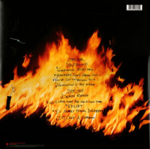 PANTERA - REINVENTING THE STEEL - Görsel 2