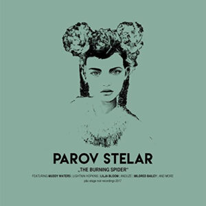 PAROV STELAR - THE BURNING SPIDER - Görsel 1