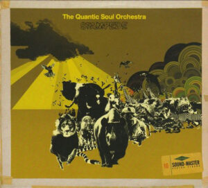 QUANTIC SOUL ORCHESTRA - STAMPEDE - Görsel 1