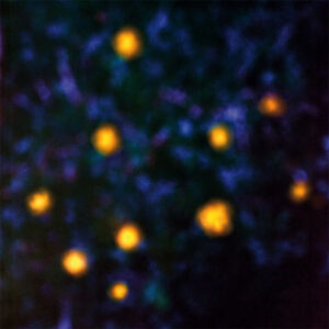 RECONDITE - DAEMMERLICHT - Görsel 1