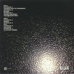 THE CALLAS - LEE RANALDO - TROUBLE AND DESIRE (RENKLİ PLAK) - Görsel 2