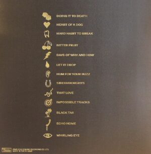 THE KILLS - ASH & ICE (RENKLİ PLAK) - Görsel 2