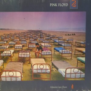 PINK FLOYD - A MOMENTARY LAPSE OF REASON