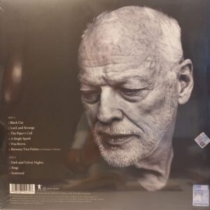 DAVID GILMOUR - LUCK AND STRANGE (TURUNCU RENKLİ PLAK) - Görsel 2