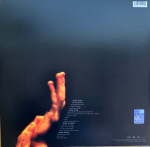 PEARL JAM - LIVE ON TWO LEGS (RENKLİ PLAK) - Görsel 2