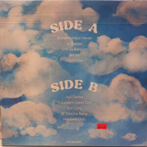 MOJAVE - KANDIRMA KENDİNİ - Görsel 2