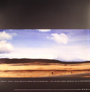 PEARL JAM - YIELD - Görsel 2