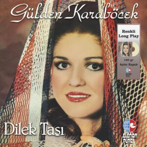 GÜLDEN KARABÖCEK - DİLEK TAŞI (RENKLİ PLAK)