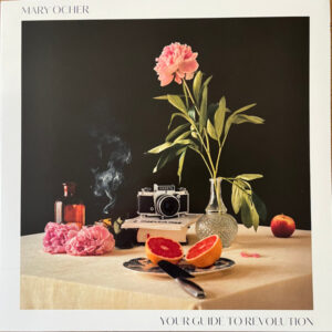 MARY OCHER - YOUR GUIDE TO REVOLUTION