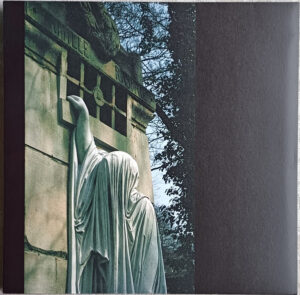 DEAD CAN DANCE - WITHIN THE REALM OF A DYING SUN