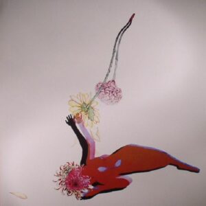 FUTURE ISLANDS - THE FAR FIELD