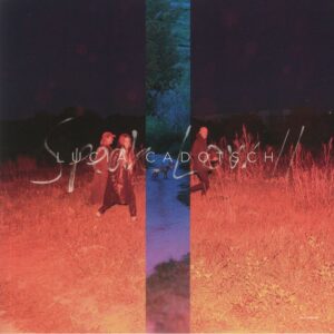 LUCIA CADOTSCH - SPEAK LOW II (RENKLİ PLAK)