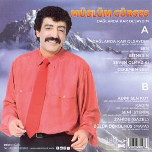 MÜSLÜM GÜRSES - DAĞLARDA KAR OLSAYDIM - Görsel 2