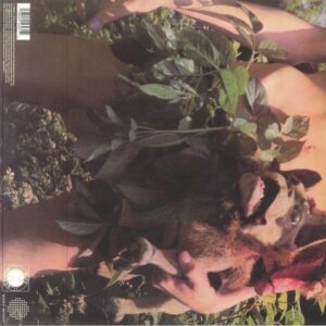 FLEETWOOD MAC - MR. WONDERFUL - Görsel 2