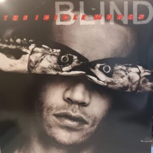 ICICLE WORKS - BLIND