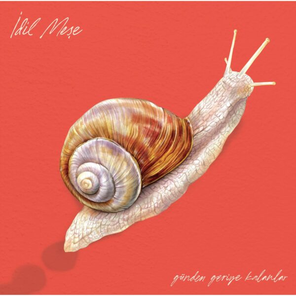 İDİL MEŞE - GÜNDEN GERİYE KALANLAR PLAK ÖN