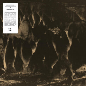 SUPER GRUPA BEZ FALSZYWEJ SKROMNOSCI - THE BOOK OF JOB