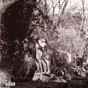 THE RACONTEURS - CONSOLERS OF THE LONELY - Görsel 3