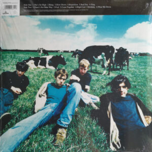 BLUR - LEISURE - Görsel 2