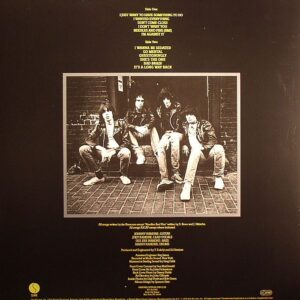 RAMONES - ROAD TO RUIN - Görsel 2