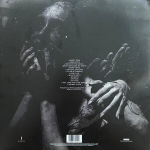 SLIPKNOT - WE ARE NOT YOUR KIND - Görsel 2