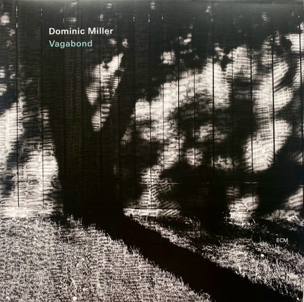 DOMINIC MILLER - VAGABOND PLAK ÖN