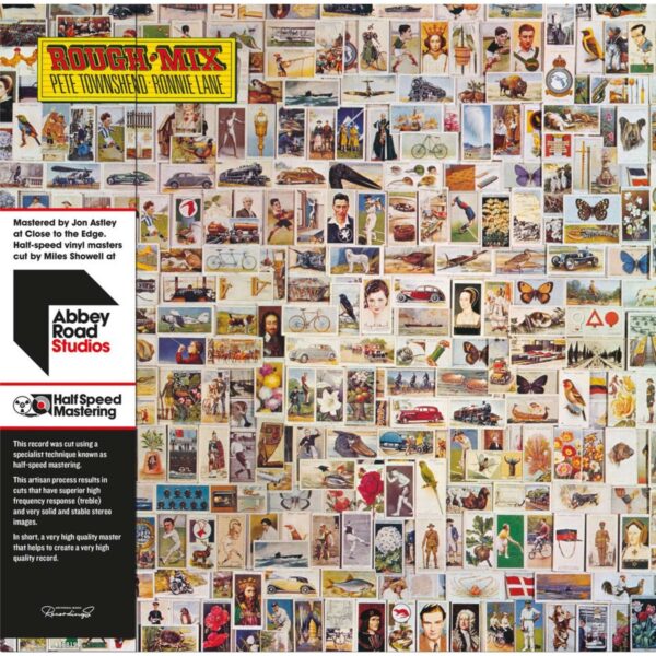 PETE TOWNSHEND - RONNIE LANE - ROUGH MIX PLAK ÖN