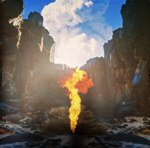 BONOBO - MIGRATION