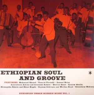 ÇEŞİTLİ SANATÇILAR - ETHIOPIAN SOUL AND GROOVE