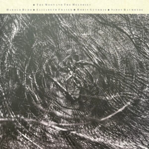 COCTEAU TWINS - HAROLD BUDD - THE MOON AND THE MELODIES