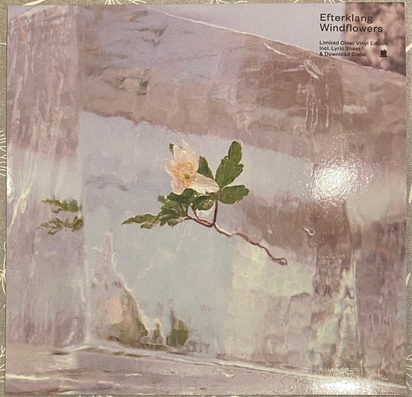 EFTERKLANG - WINDFLOWERS (RENKLİ PLAK) PLAK ÖN