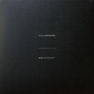 JOY DIVISION - UNKNOWN PLEASURES - Görsel 2
