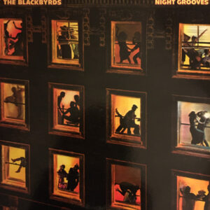THE BLACKBYRDS - NIGHT GROOVES - Görsel 1