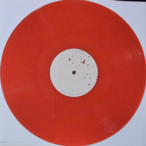 MANIC STREET PREACHERS - LIFEBLOOD (RENKLİ PLAK) - Görsel 3