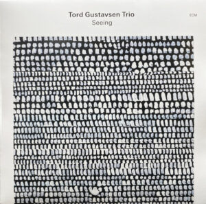 TORD GUSTAVSEN TRIO - SEEING
